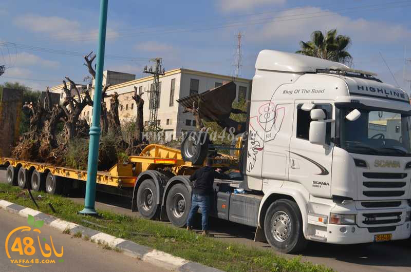 hadm ramla zatoen (2).JPG